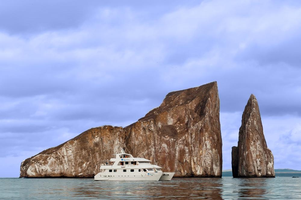 L'Essentiel des Galapagos
