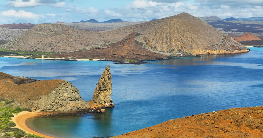 L'Essentiel des Galapagos