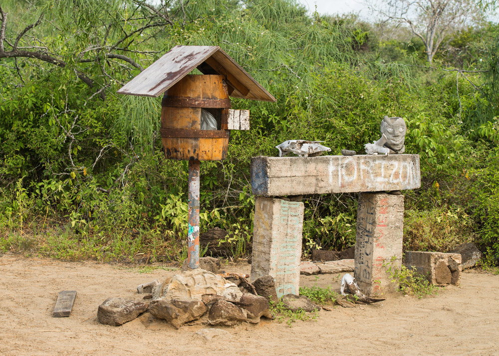 L'Essentiel des Galapagos