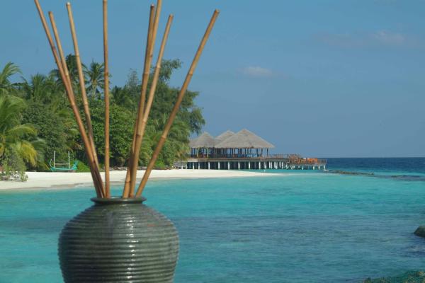 Coco Bodu Hithi