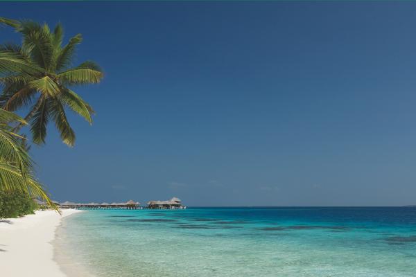 Coco Bodu Hithi