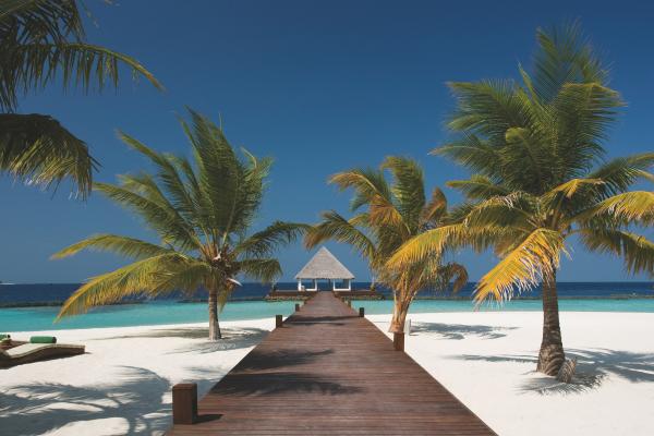 Coco Bodu Hithi