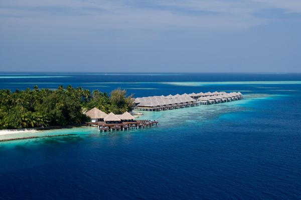 Coco Bodu Hithi