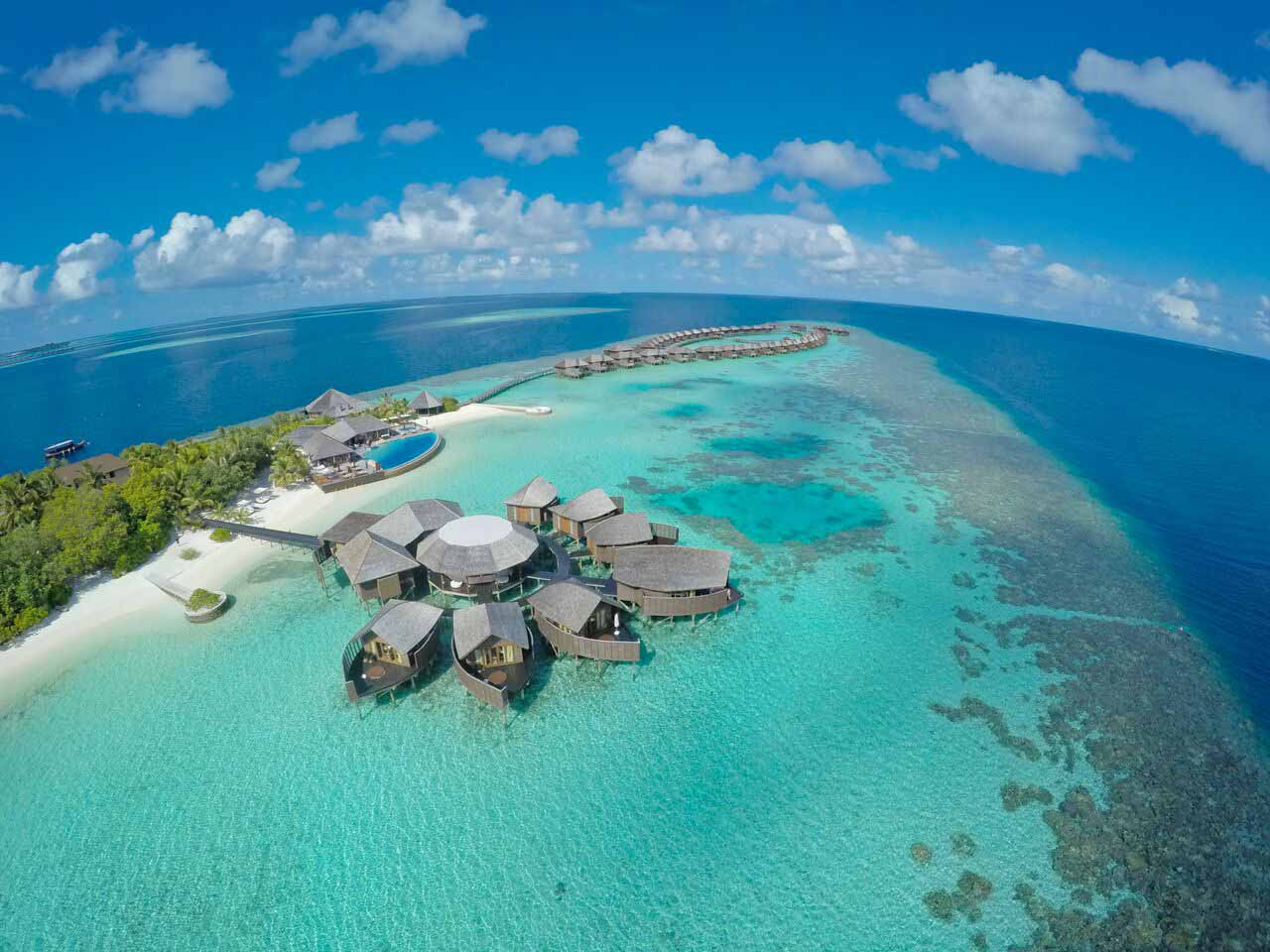Lily Beach