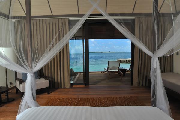 Lily Beach