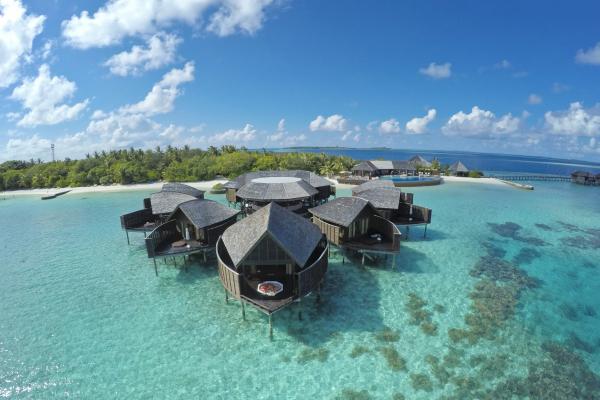 Lily Beach