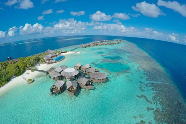 Lily Beach