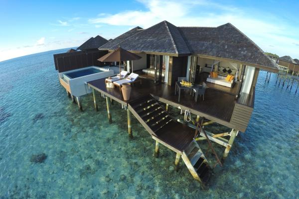 Lily Beach