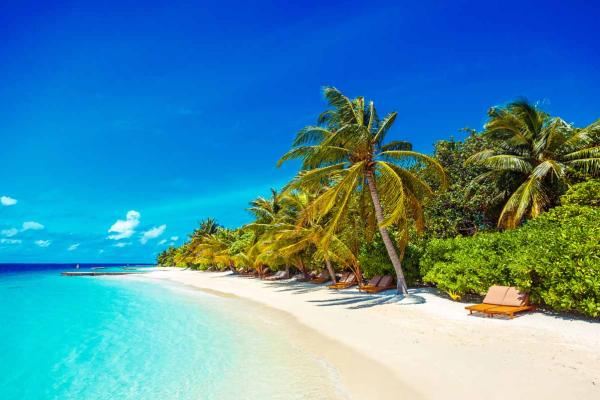 Lily Beach