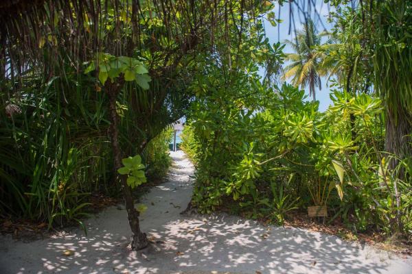 Coco Palm Dhuni Kolhu