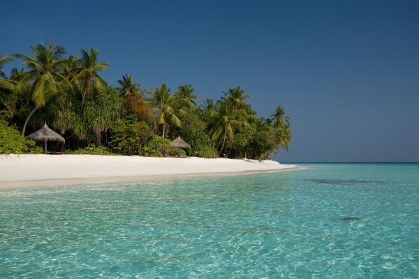 Coco Palm Dhuni Kolhu