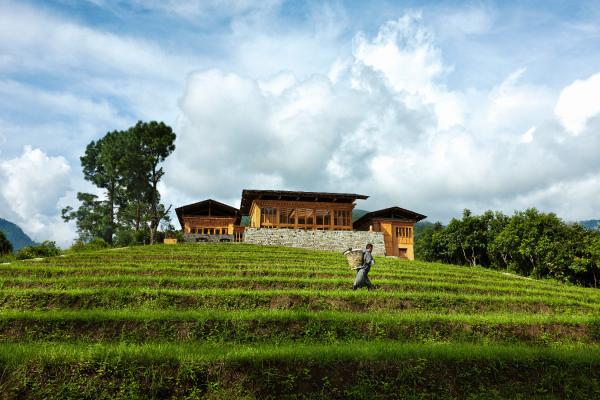 COMO Uma Punakha