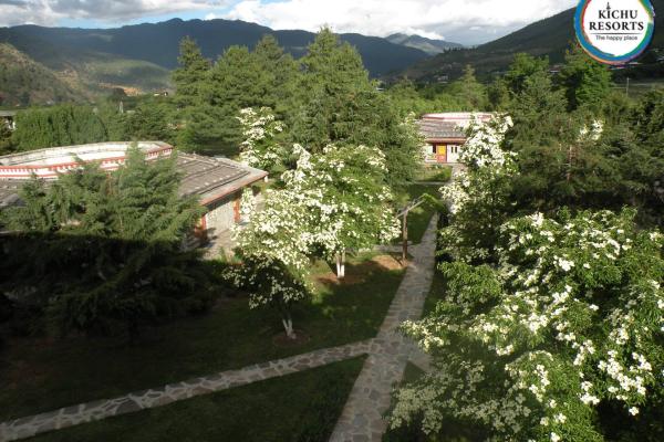 Kichu Resort