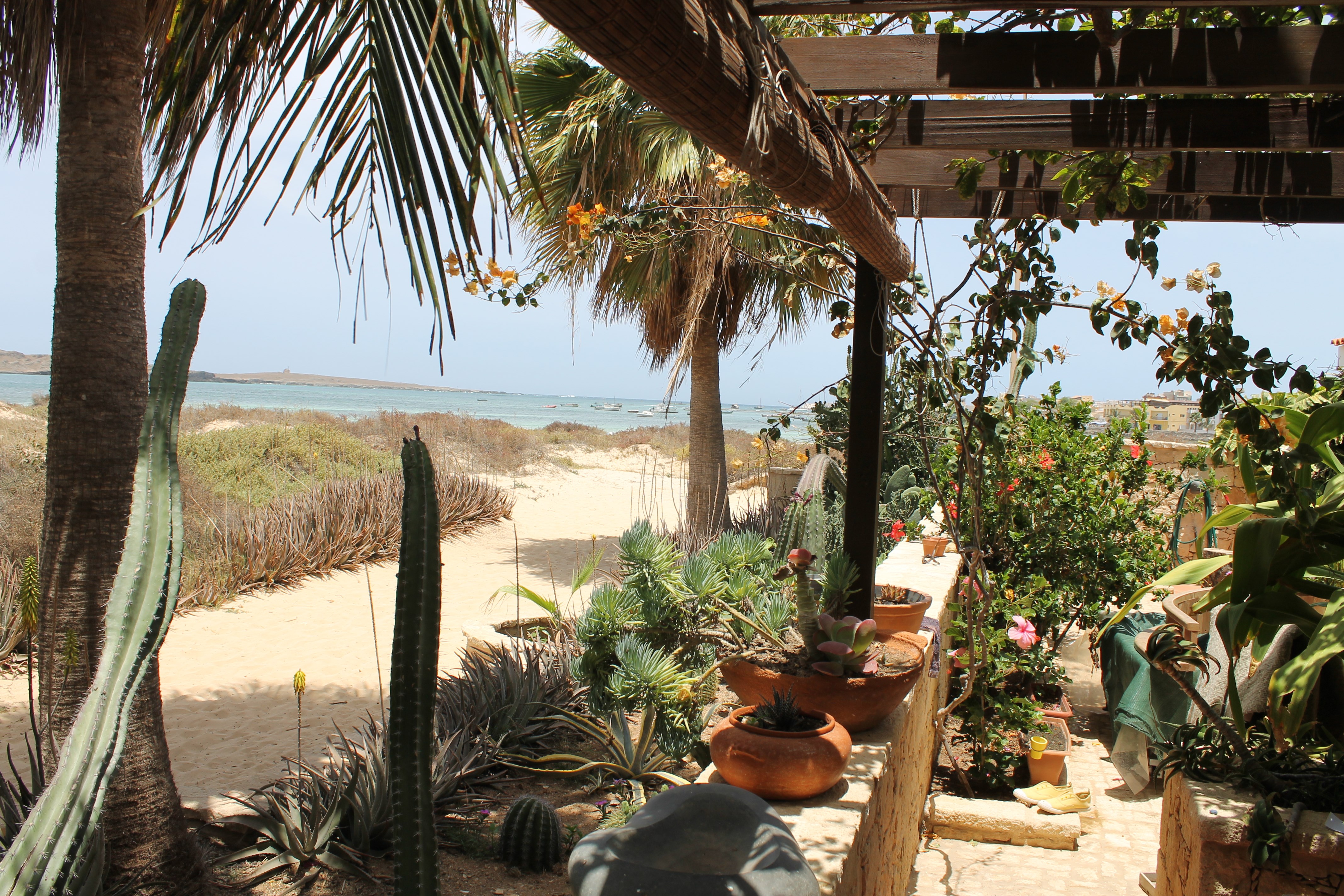 Orquidea Guest House