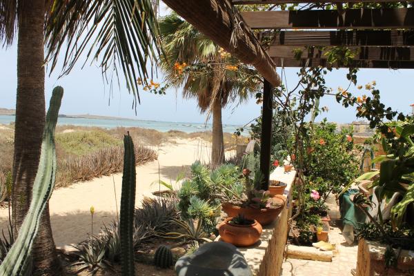 Orquidea Guest House