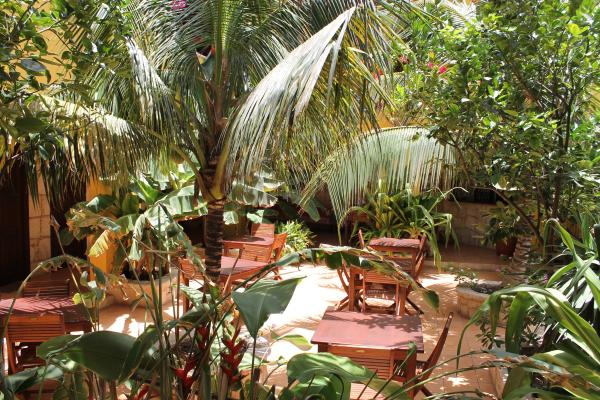 Orquidea Guest House