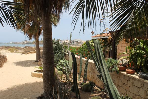 Orquidea Guest House