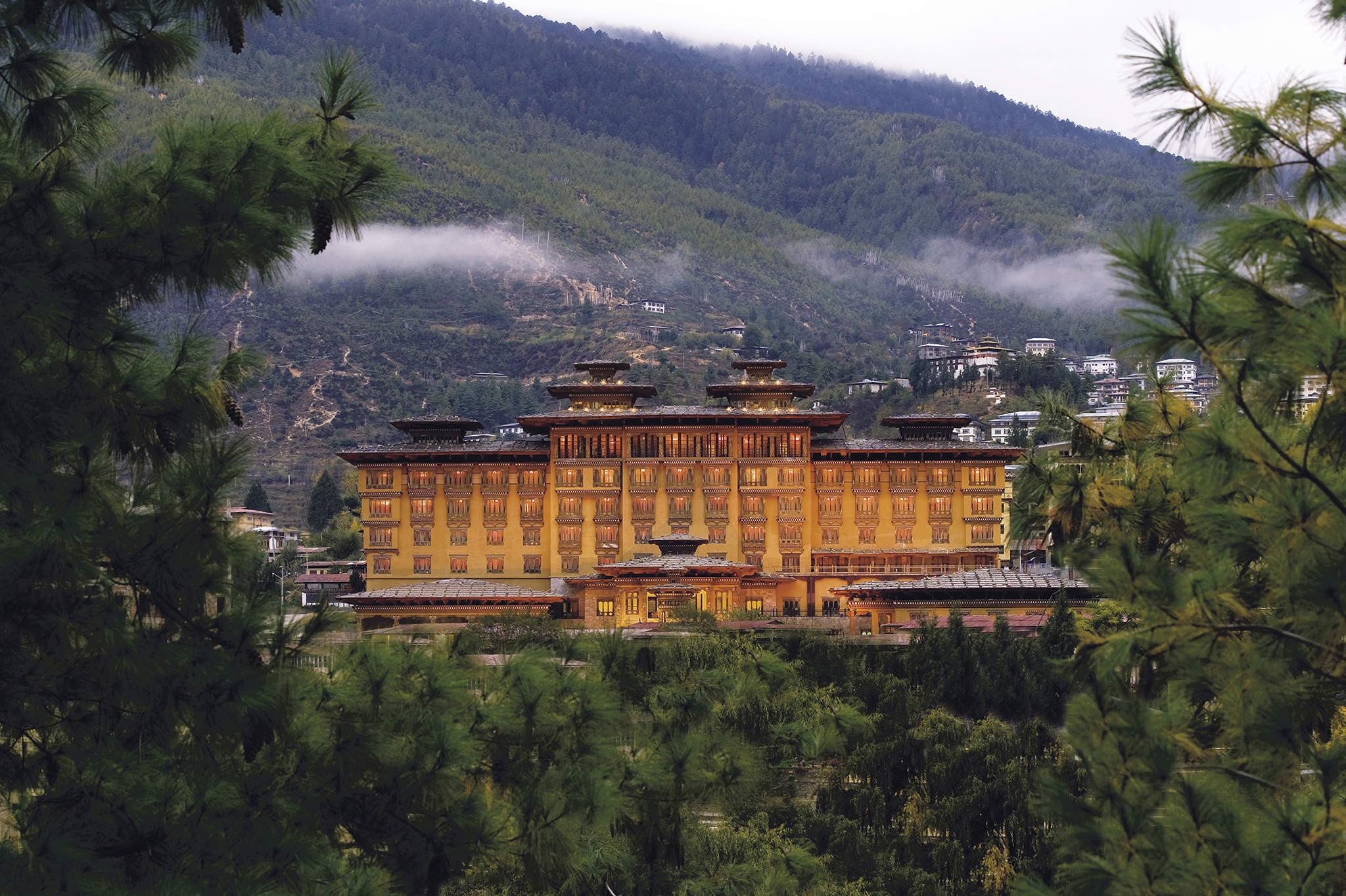 Taj Tashi