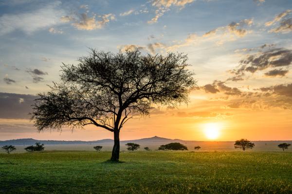 Singita Sabora Tented Camp