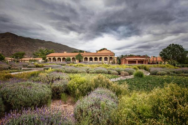 Estancia Colomé