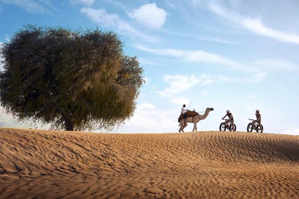 Bab Al Shams