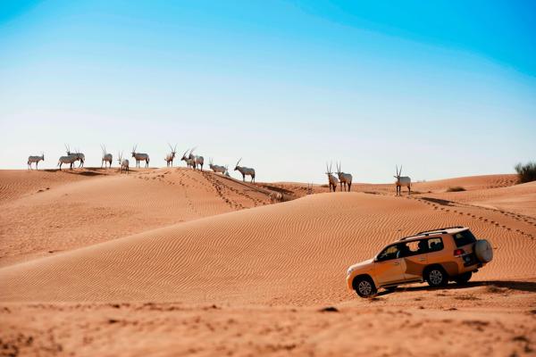 Al Maha Desert Resort&Spa