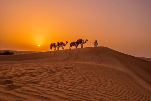 Al Maha Desert Resort&Spa