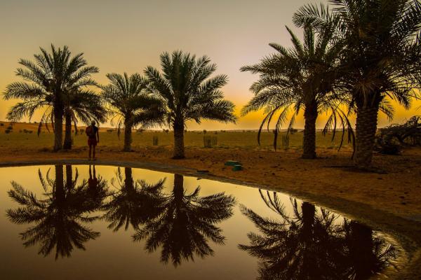 Al Maha Desert Resort&Spa