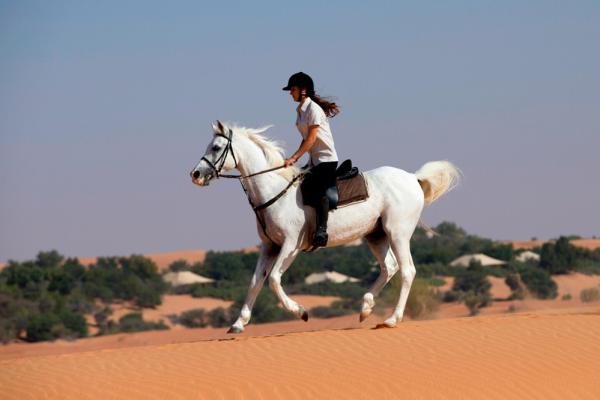 Al Maha Desert Resort&Spa