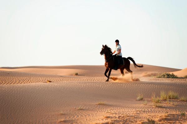 Al Maha Desert Resort&Spa