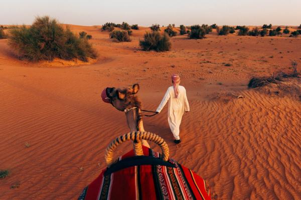 Al Maha Desert Resort&Spa