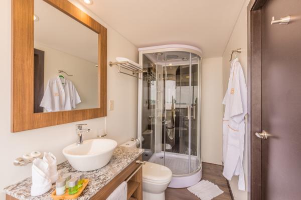Manatee Amazon Explorer