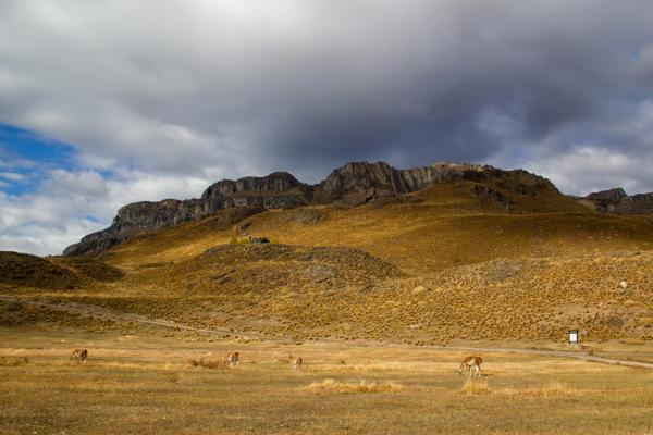 Explora Parc National Patagonia