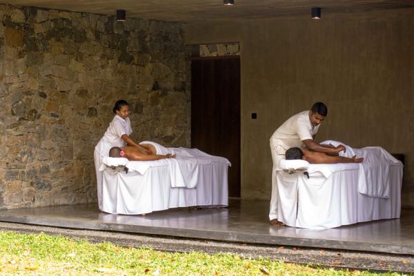 Santani Wellness