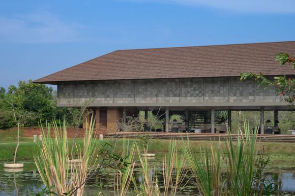 Water Garden