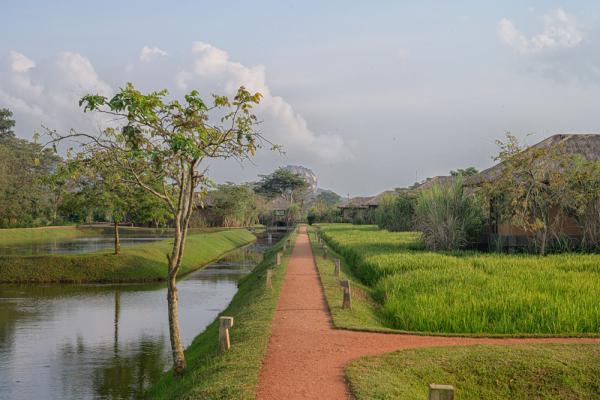 Water Garden