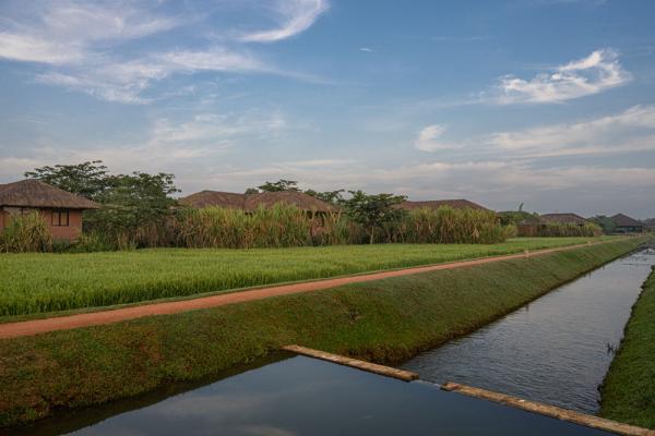 Water Garden