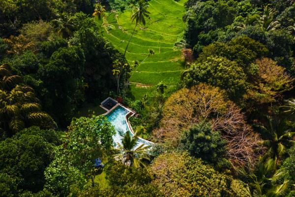 The Kandy House