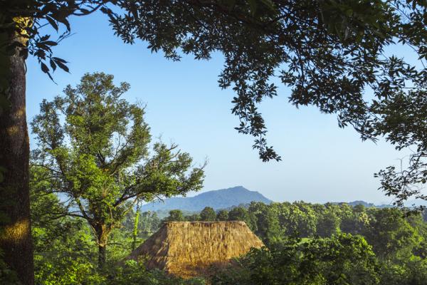 Gal Oya Lodge