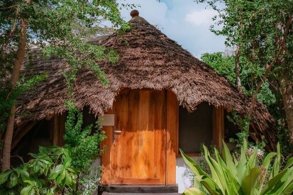 Jungle Pearl Resort
