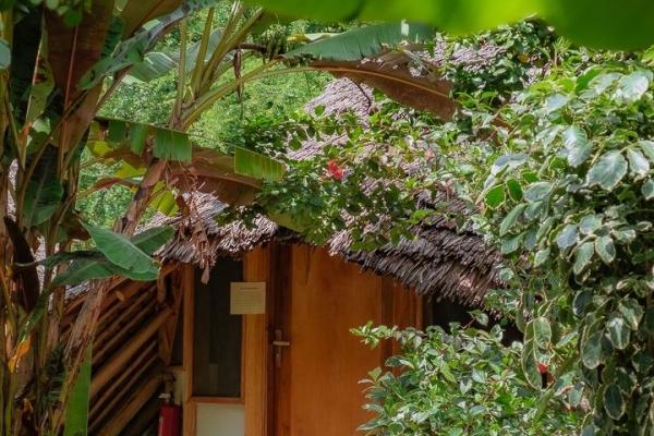 Jungle Pearl Resort