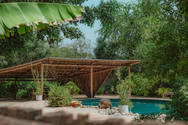 Jungle Pearl Resort
