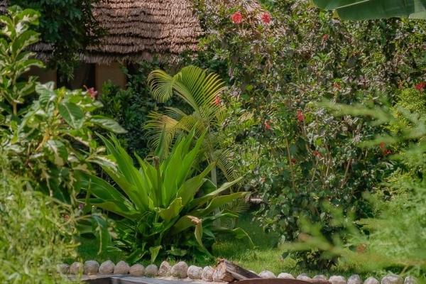 Jungle Pearl Resort