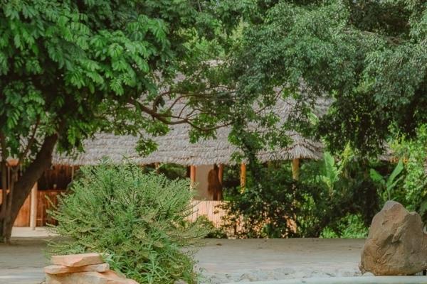 Jungle Pearl Resort