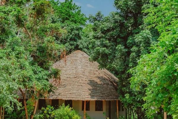 Jungle Pearl Resort