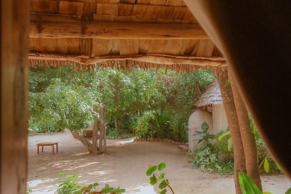 Jungle Pearl Resort