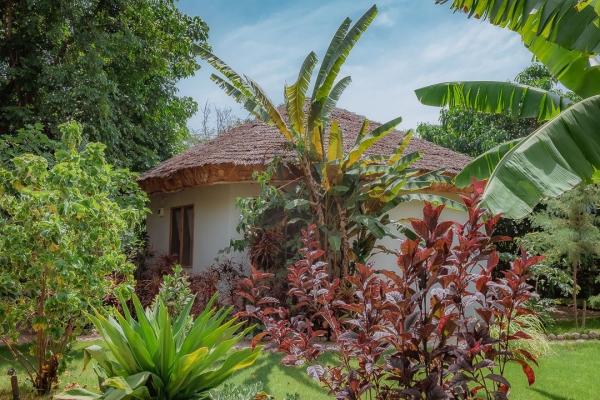 Jungle Pearl Resort