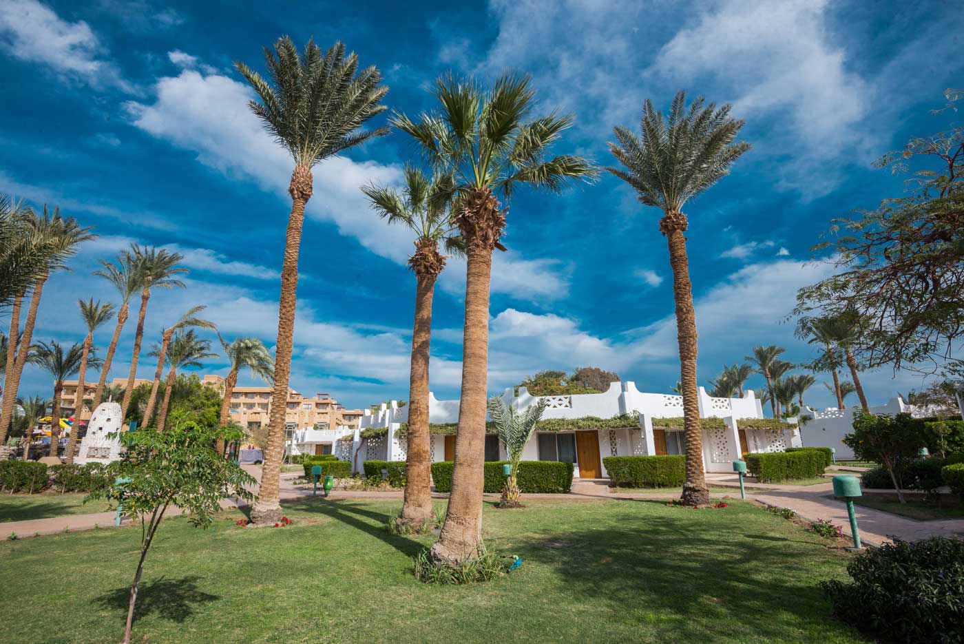 Hôtel SHAMS SAFAGA RESORT