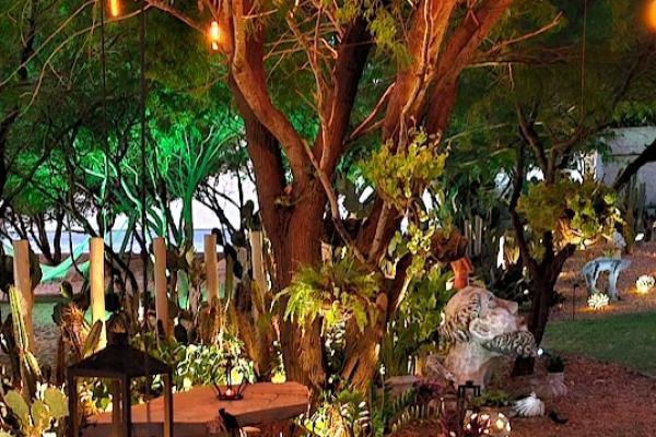 Casa Cactus Praia